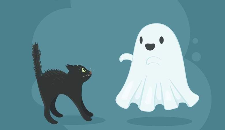 In un video misterioso, un fantasma accarezza un gatto