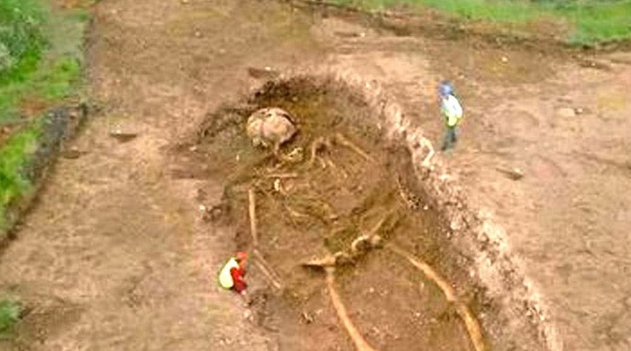 I giganti vivevano una volta sulla Terra