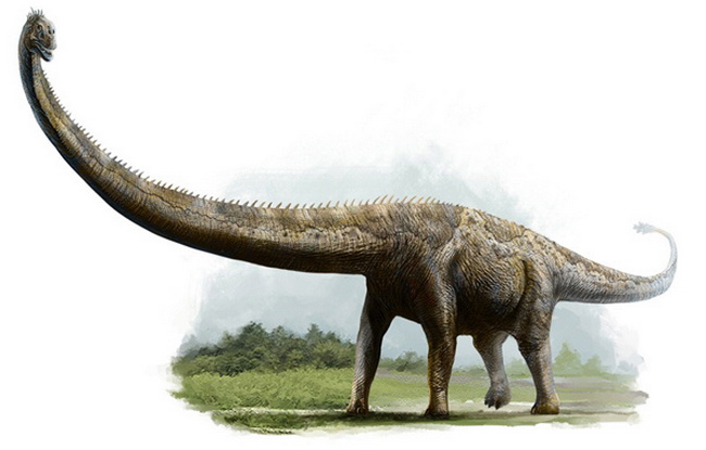 Trovato lo scheletro di una nuova specie di dinosauri