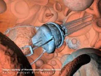 I nanorobot creati sulla base del DNA sono stati caricati in scarafaggi vivi