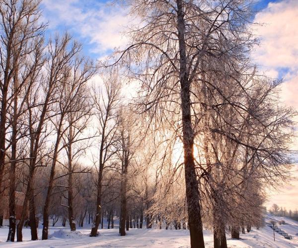 Presagi e usanze popolari il 2 dicembre (giorno del profeta Abdia) 