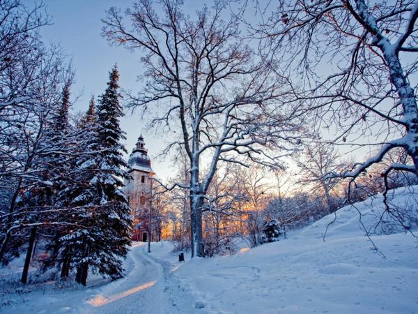 11 dicembre segni popolari 