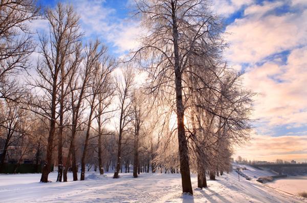 segni popolari il 5 dicembre 