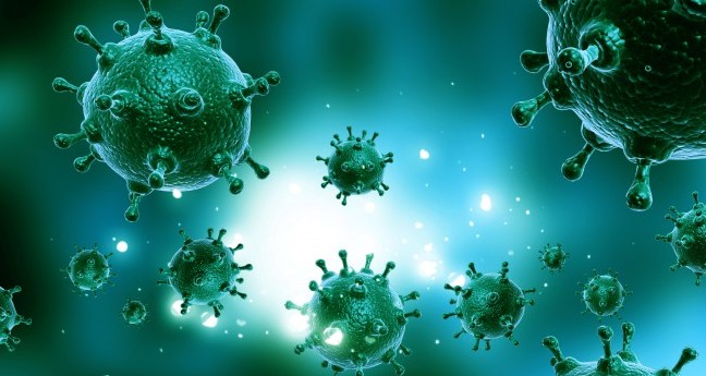 I veri padroni della Terra non siamo noi