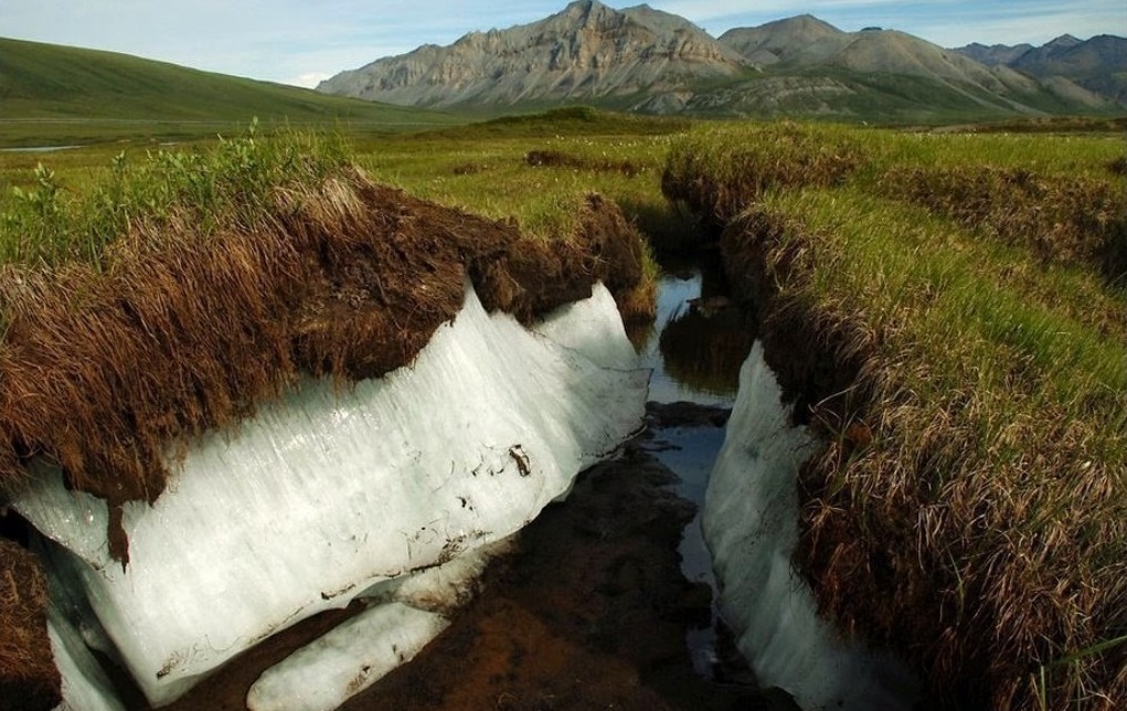 I principali pericoli per la Russia nelle condizioni dei cambiamenti climatici sono chiamati