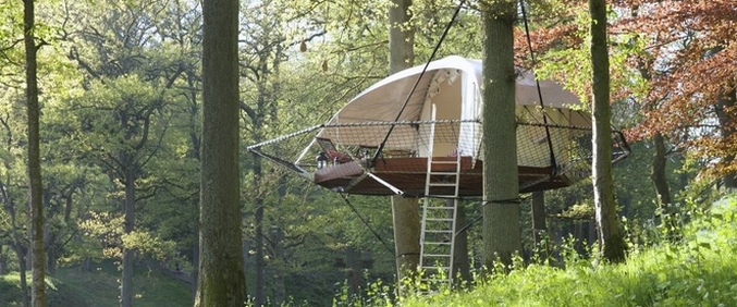 Vuoi vivere su un albero?