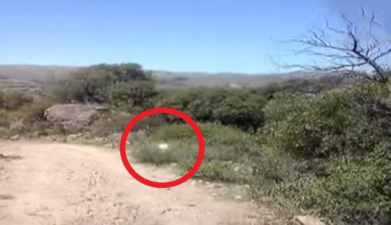 Un bagliore incomprensibile inseguì la macchina degli argentini