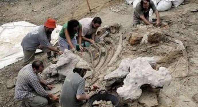 Sugli scorpioni giganti e strani reperti di scienziati americani