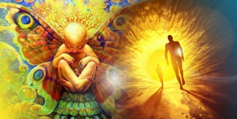 Non si deve solo conoscere la reincarnazione, bisogna conviverci