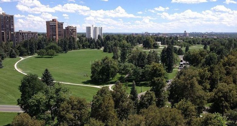 Offeso Dead Park Cheeseman