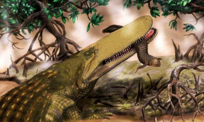 Trovato i resti di un rettile più vecchio dei dinosauri