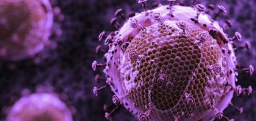 È stato scoperto un medicinale altrettanto efficace contro il cancro e il virus dell'AIDS