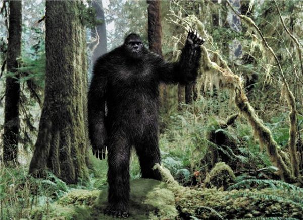 I testimoni confermano l'esistenza del Bigfoot