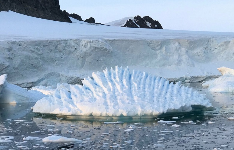 Un'enorme quantità di sostanze tossiche trovate in Antartide