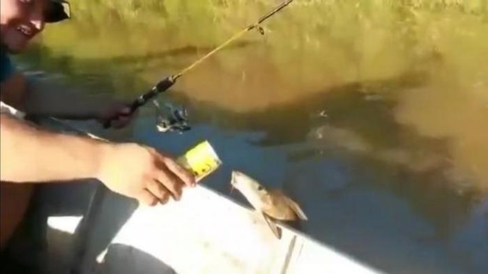 Si scopre che anche il pesce ama la birra.