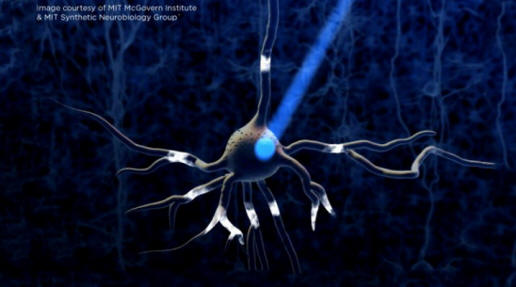 Optogenetics-neurone-640x353