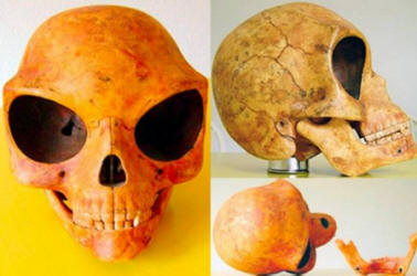 Resti di alieni sulla Terra