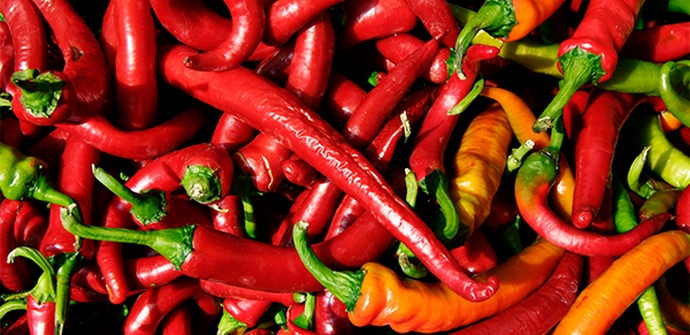 I peperoncini proteggono il fegato da danni.