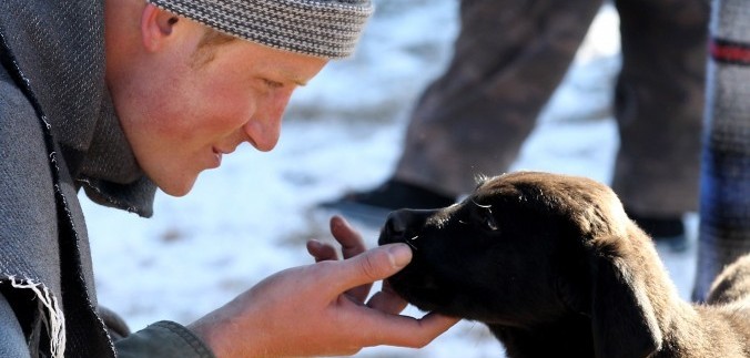 Il cattivo umore del proprietario non sarà nascosto al cane