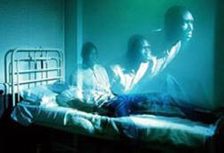 La scoperta dell'antimolecola della vita dell'anima