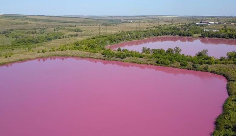 I laghi vicino a Samara sono diventati improvvisamente rosa