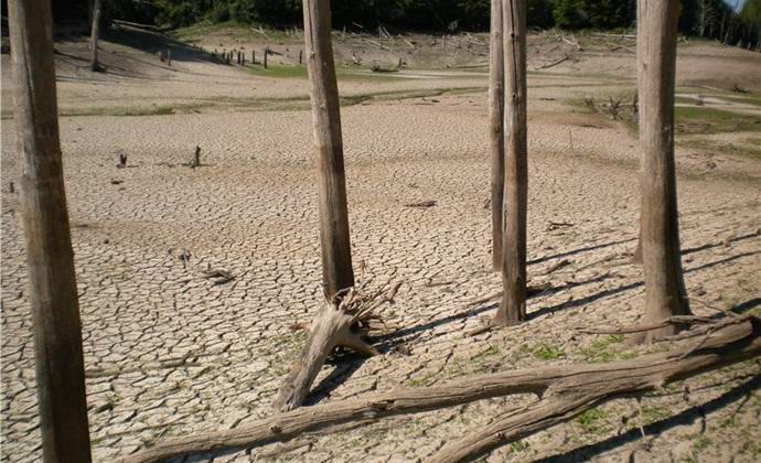 Lago degli alberi morti vicino a Kazan