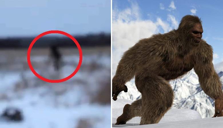 La coppia si è avvicinata