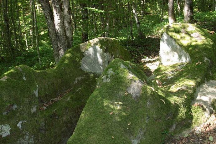 Le rocce planari attirano solo l'attenzione dei ricercatori dilettanti