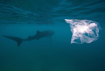 I rifiuti di plastica attutiscono gli oceani