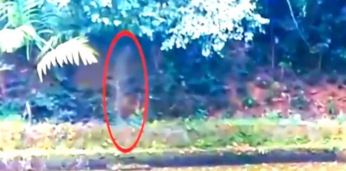 Un fantasma cammina spensierato nel parco