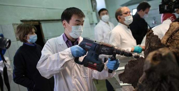 I mammut vagheranno di nuovo nel nord della Russia