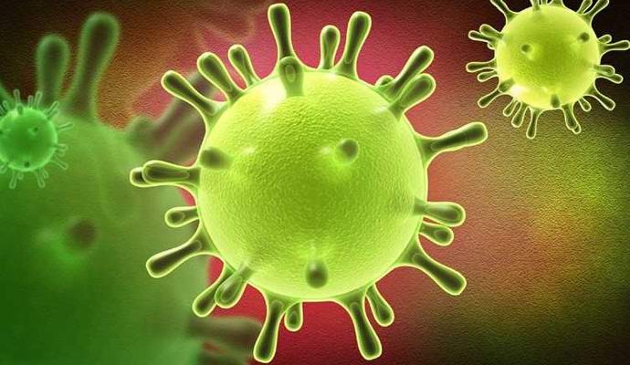 Un fungo mortale invincibile si diffonde in tutta la Terra