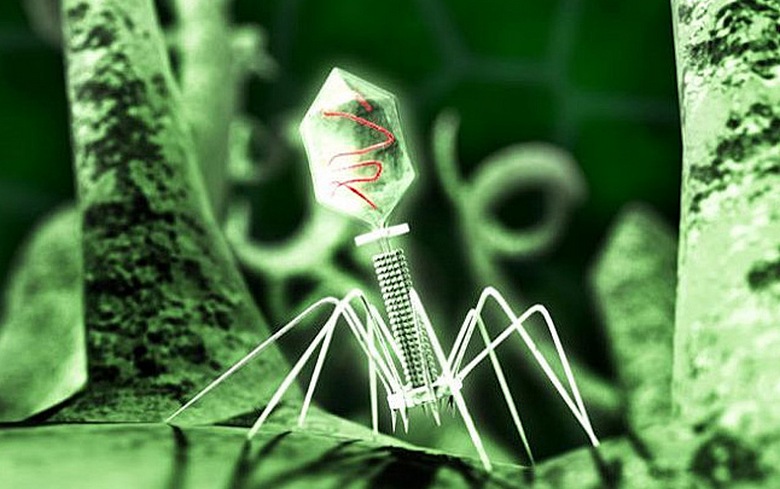 Sconfiggere il cancro non è facile, nemmeno con un virus.