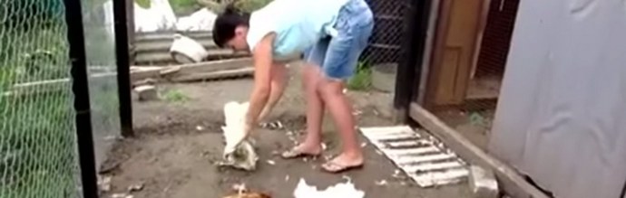 Perché Chupacabra appare come dal nulla?