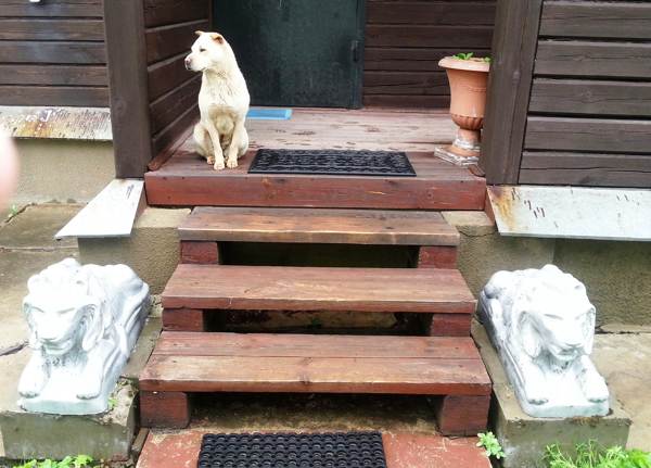 perché non varcare la soglia 