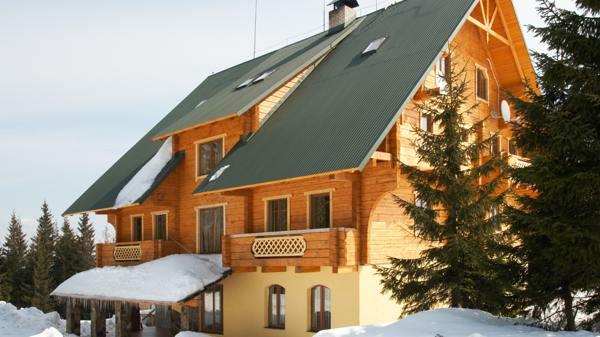 perché non puoi piantare alberi sul sito 