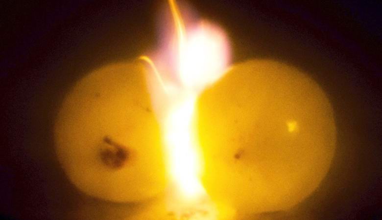 Perché l'uva esplode nel microonde?