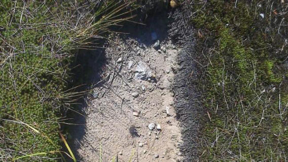 Vicino a Ukhta abbiamo trovato strani ritagli sotto forma di forme e disegni