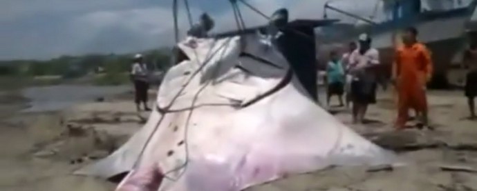 Preso una rampa gigante