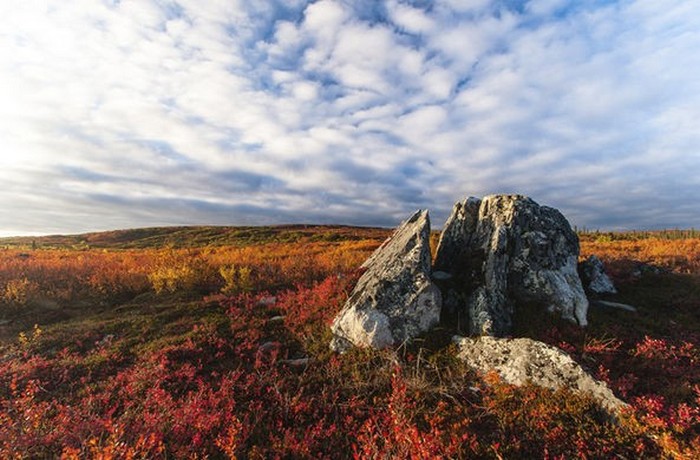 Un mese e mezzo in giro per la tundra