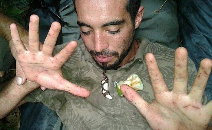 Perso nella giungla o in dimensione parallela?