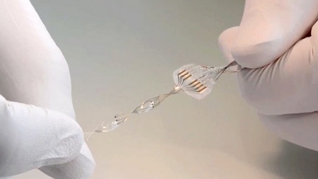 Dorso danneggiato: non importa!