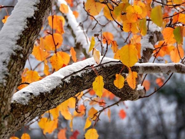 Segni, costumi e cospirazioni per il 18 novembre - il giorno di Galaktion, Epistimia e Jonah 