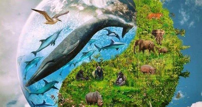 Riconoscimento degli animali da parte di creature intelligenti