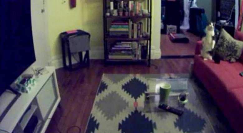 Fantasma di un bambino aggressivo catturato nel video?