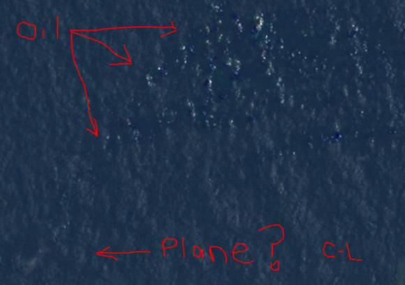 Il mancante Boeing potrebbe aver trovato la vedova di Kurt Cobain