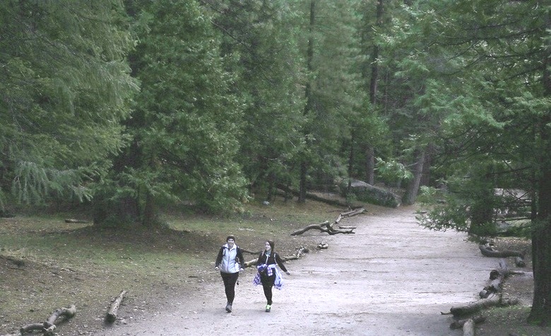 Lost People in America's National Parks