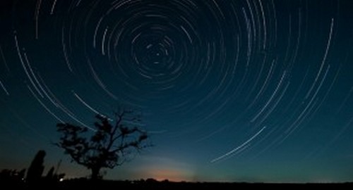 Gli uccelli sentono la tempesta avvicinarsi tra qualche giorno. Come?