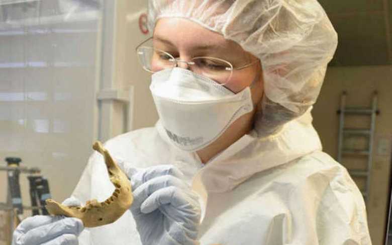 Decifrare il genoma delle mummie egiziane ha sorpreso gli scienziati