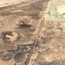 Disegni di spirali mistiche trovati nel deserto del Kalahari